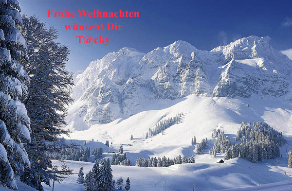 Tackys Weihnachtskarte
